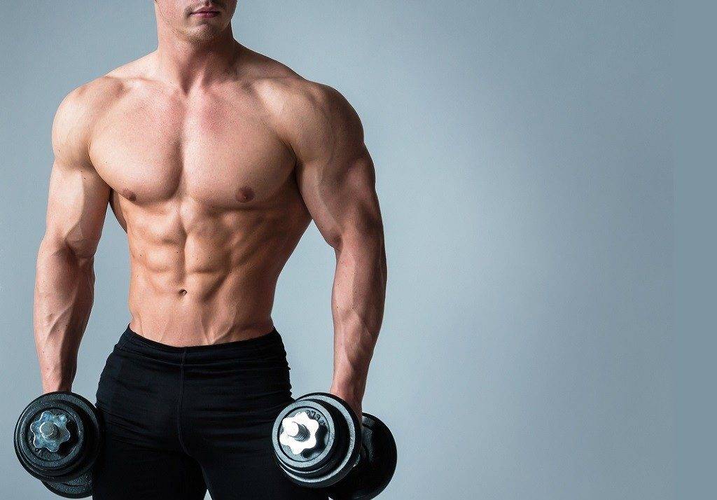 Как растут мышцы?