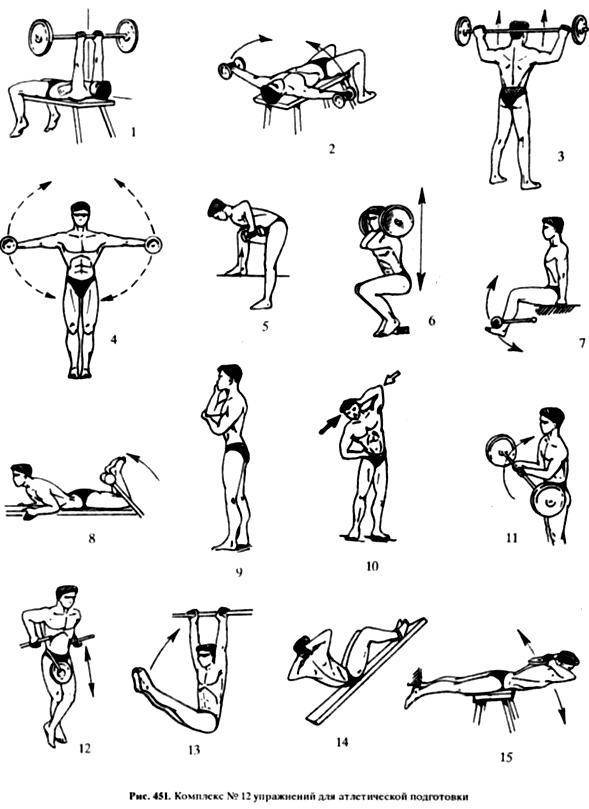 Комплекс упражнения с гантелями в домашних условиях для мужчин: программа тренировки с гантелями дома на 3 раза в неделю для набора массы и похудения
