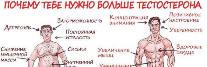 Как мужчине убрать живот в домашних условиях: эффективные упражнения и ограничения в питании - tony.ru