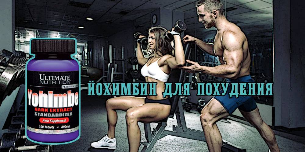 "йохимбин" для похудения: как принимать, состав, дозировка, противопоказания - tony.ru