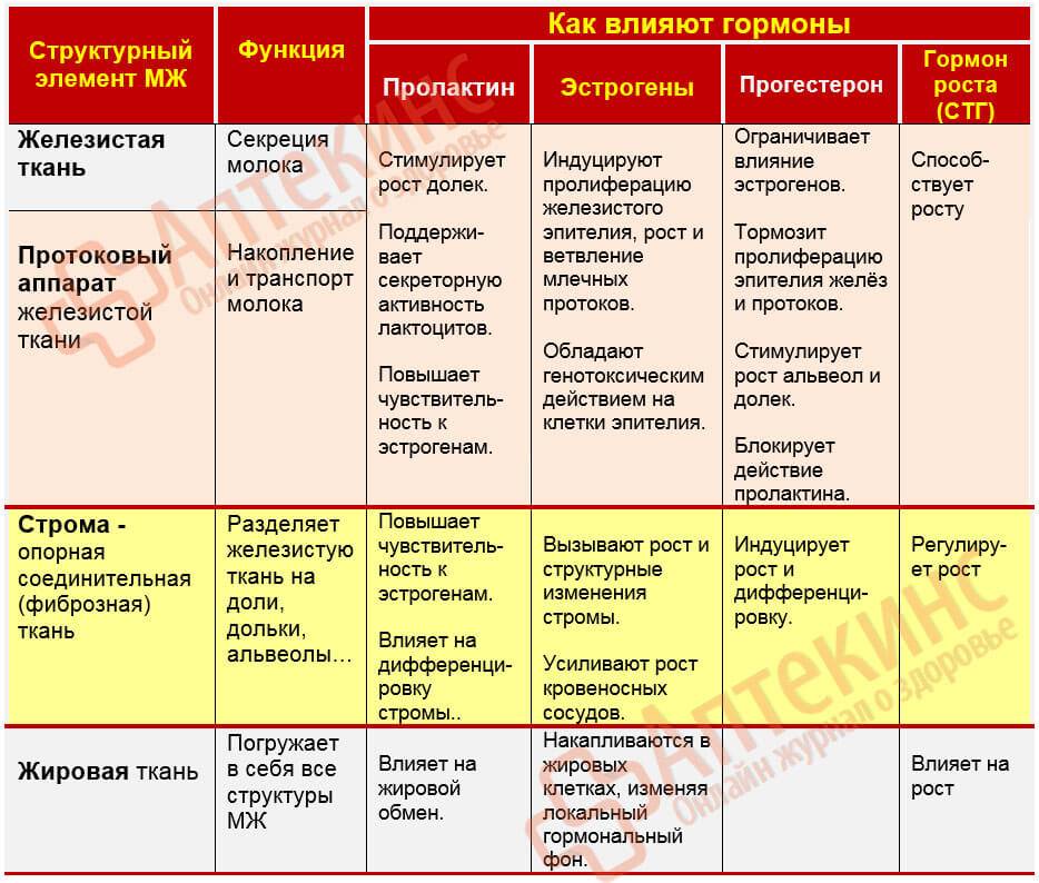Повышенный пролактин у мужчин: причины, симптомы, что это значит