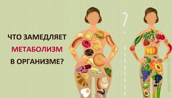 Убитый диетами и похудением обмен веществ = большой обман: можно ли вообще и как замедлить метаболизм?