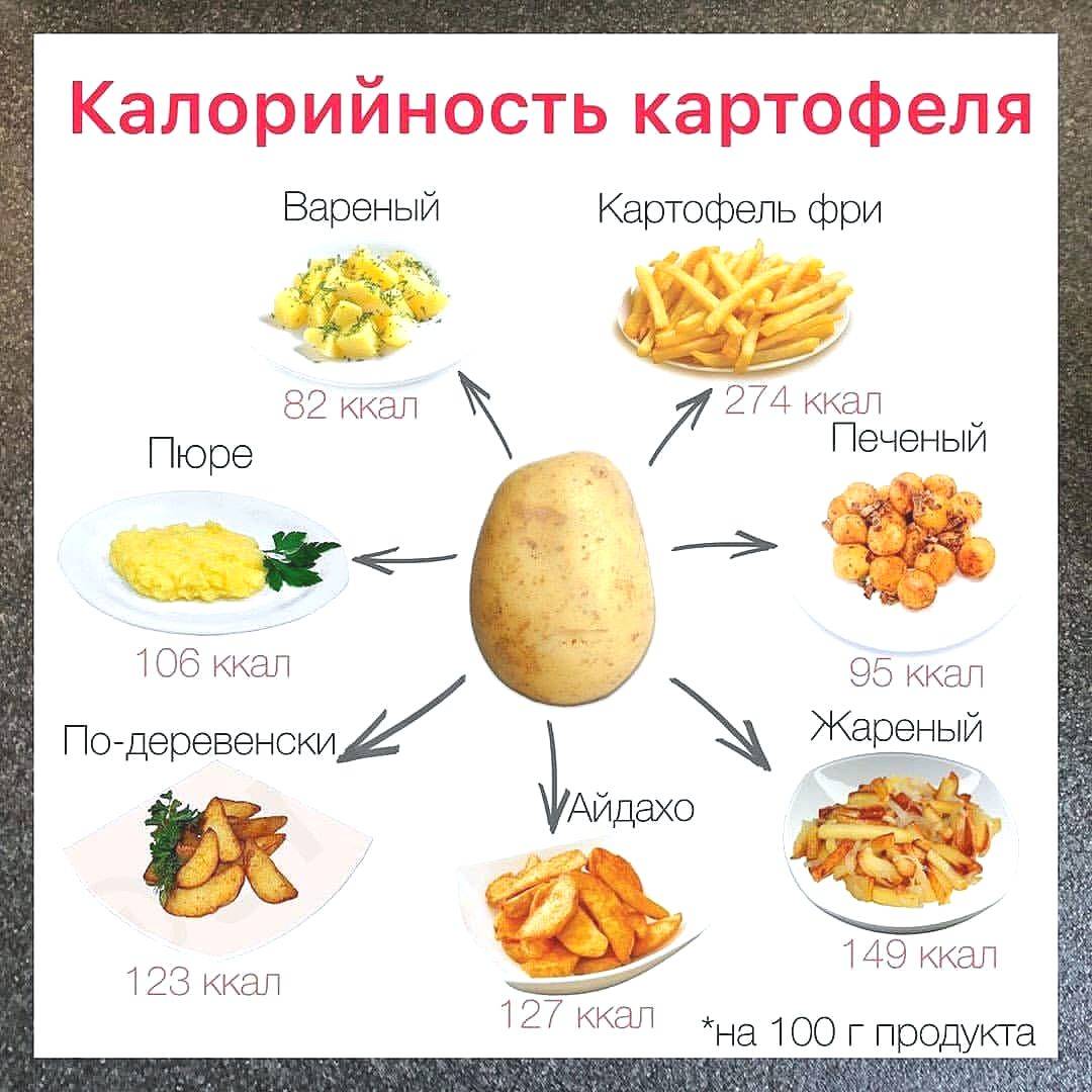 Калорийность картофеля на сто грамм