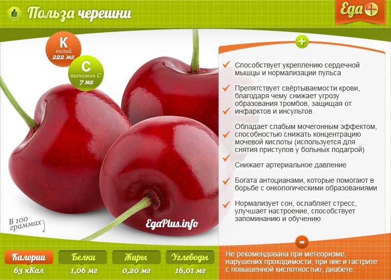 Черешня - ягода или фрукт, пльза и вред для здоровья, калорийность
