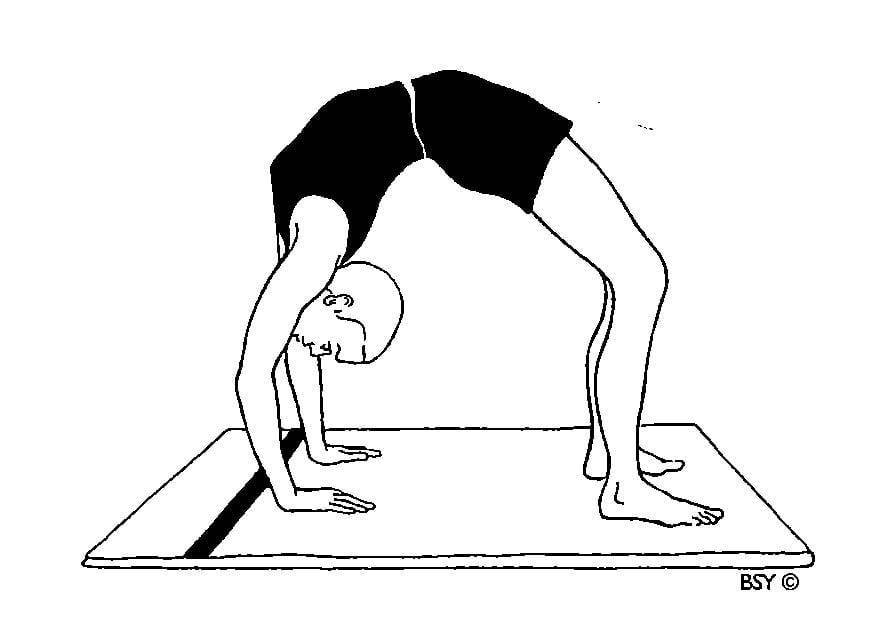 Гимнастический мостик и подготовительные упражнения