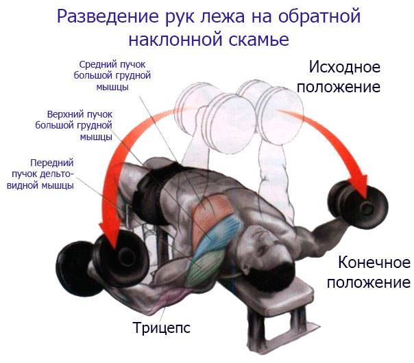 Как накачать мощный грудак не выходя из дома