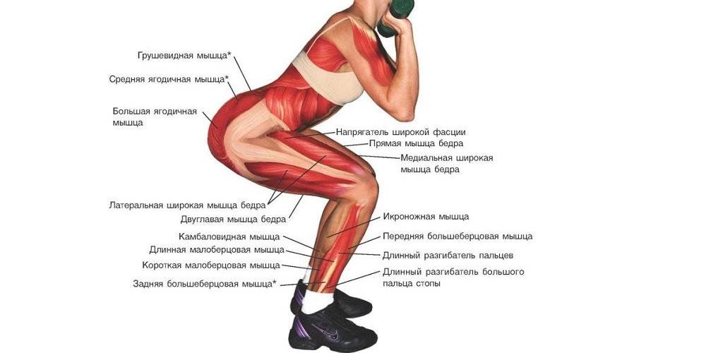 Тренировка на ягодицы: что дают тренировки, комплекс лучших упражнений