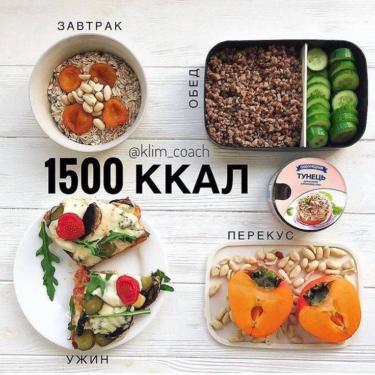 Меню на день 1300 калорий в день. меню на 1300 калорий в день