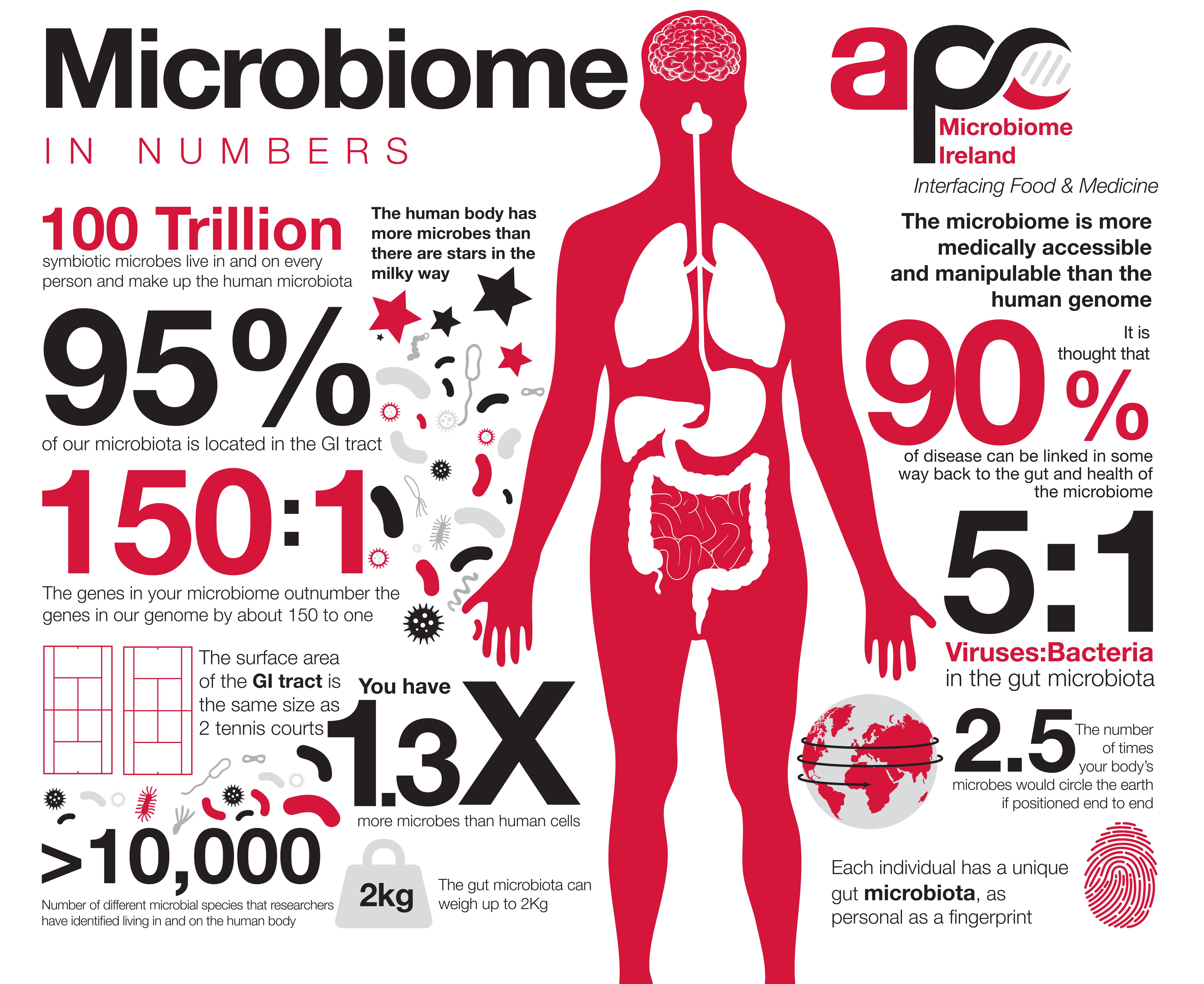 Мир внутри нас: 21 факт о микробиоме
