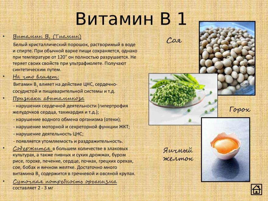 Тиамин (витамин b1): инструкция по применению, для чего принимать и последствия дефицита