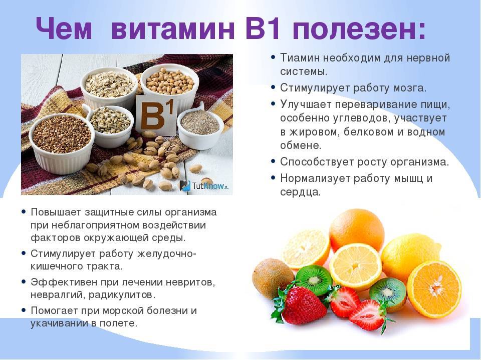 Продукты, богатые витамином в12, польза витамина, показания и лечебное действие