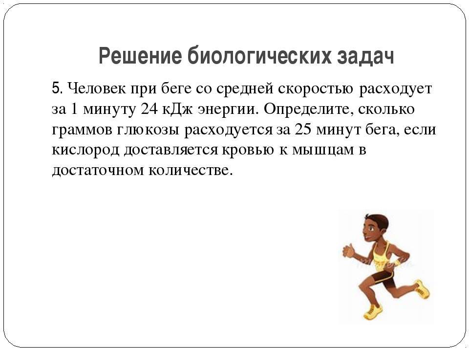 Самый быстрый человек в мире и в россии - имена рекордсменов и их скорость бега