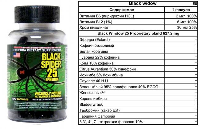 Black spider 25 ephedra: отзывы и рекомендации, назначение, форма выпуска, особенности приема, дозировка, состав, показания и противопоказания - tony.ru