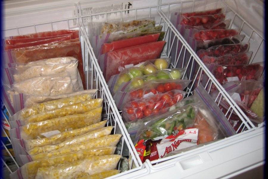 Какие продукты можно заморозить в морозильной камере на зиму