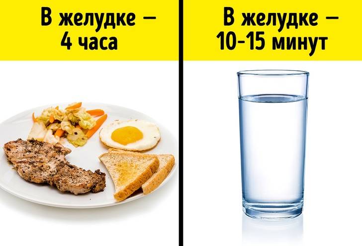 Можно ли пить воду во время еды: вредно или нет