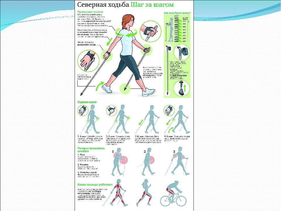 Техника спортивной ходьбы: как правильно