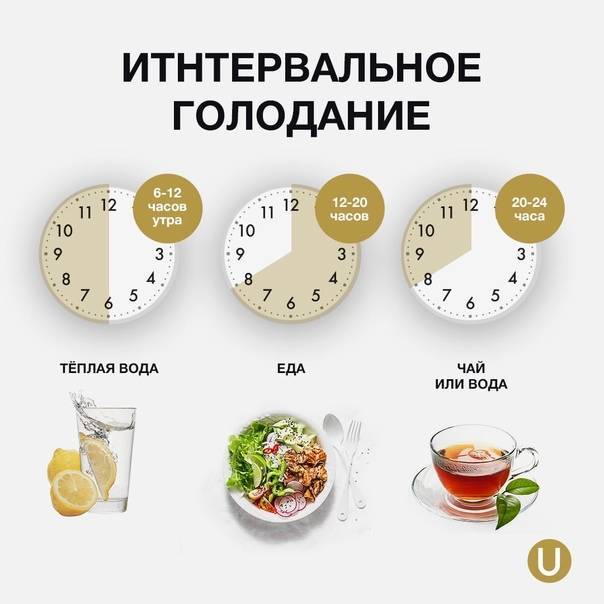 Прерывистое голодание: руководство для начинающих – lifekorea.ru