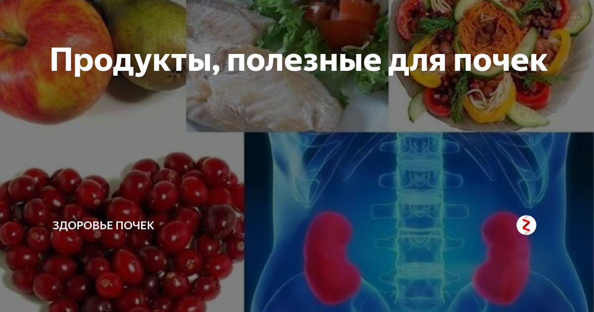 Почки что любят из продуктов питания человека. Что полезно для почек. Полезное и вредное для почек. Полезная пища для почек. Продукты для почек.