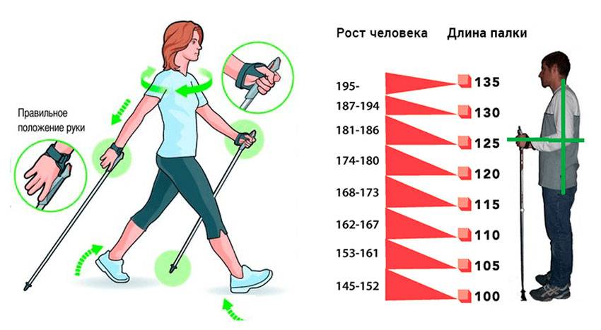 Скандинавская ходьба для похудения: польза и правильная техника - allslim.ru