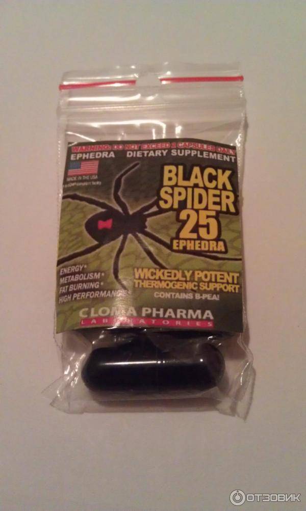 Таблетки для похудения черная вдова. black spider 25 ephedra отзывы | школа красоты