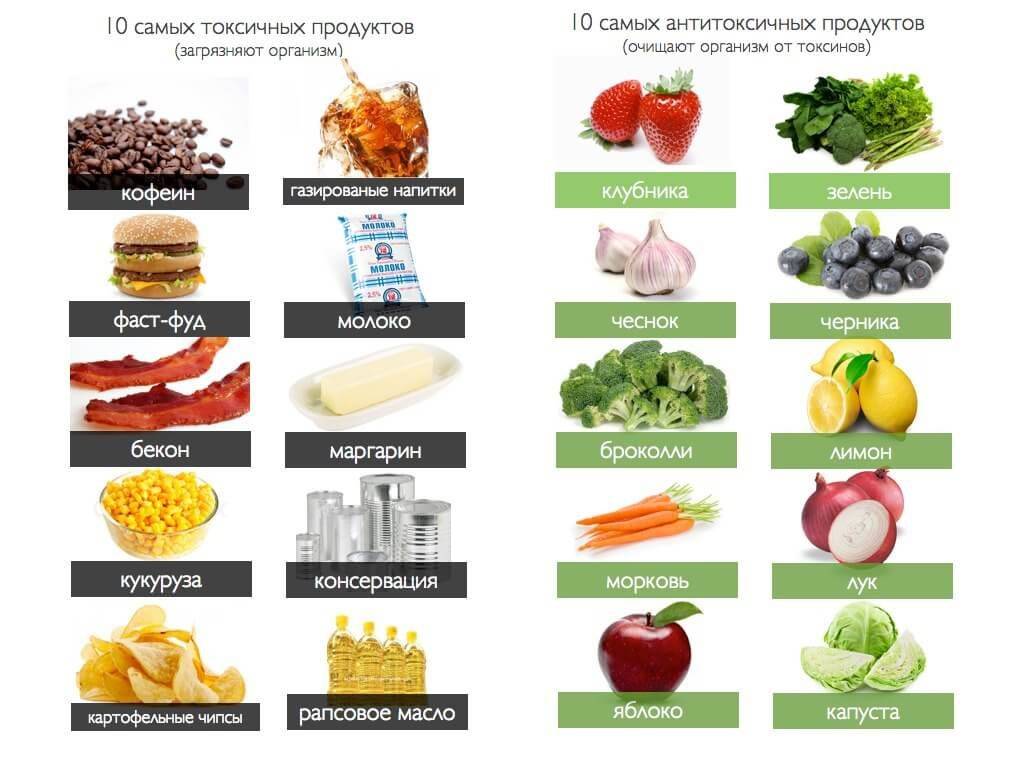 Топ-10 самых полезных продуктов питания в мире