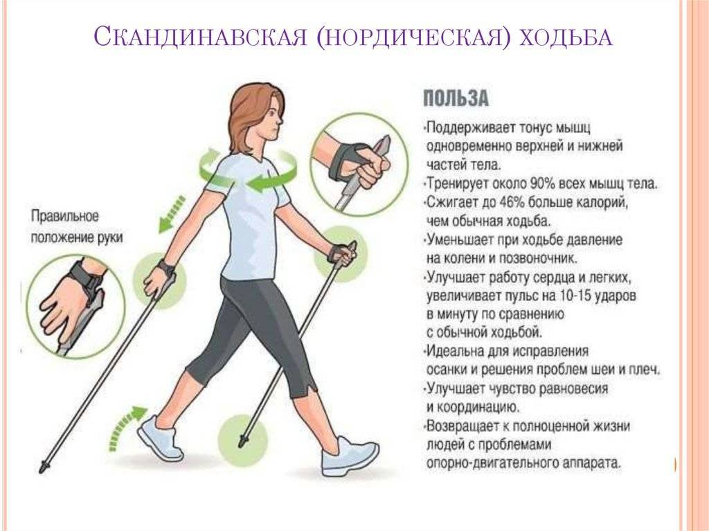 Чем отличается спортивная ходьба от бега и от обычной ходьбы