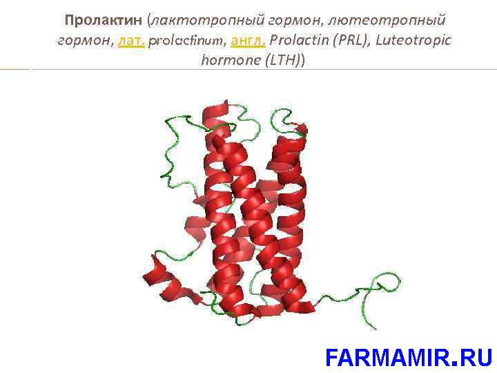 Гиперпролактинемия у мужчин. повышение пролактина в анализе крови