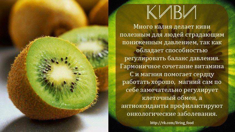 Киви фрукт: полезные свойства и противопоказания, как есть