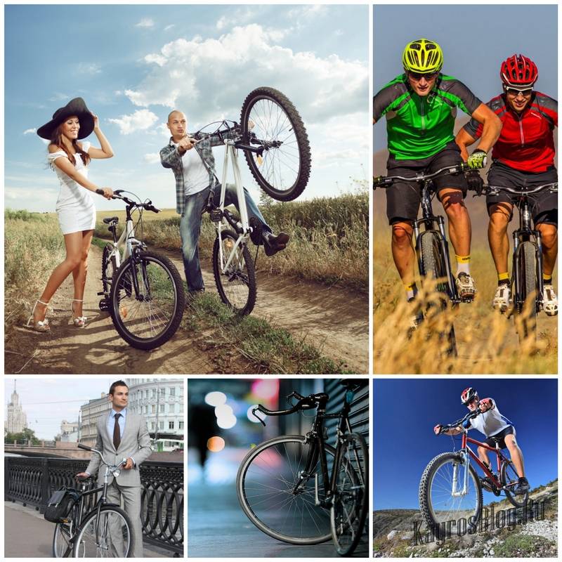 Как выбрать велосипед? виды, характеристики, марки и выбор велосипеда | спорт на "добро есть!"