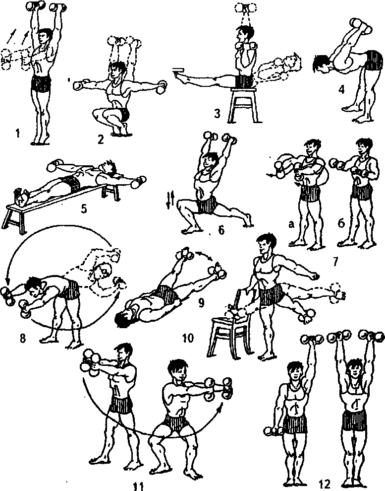 Упражнения с гантелями для начинающих
упражнения с гантелями для начинающих