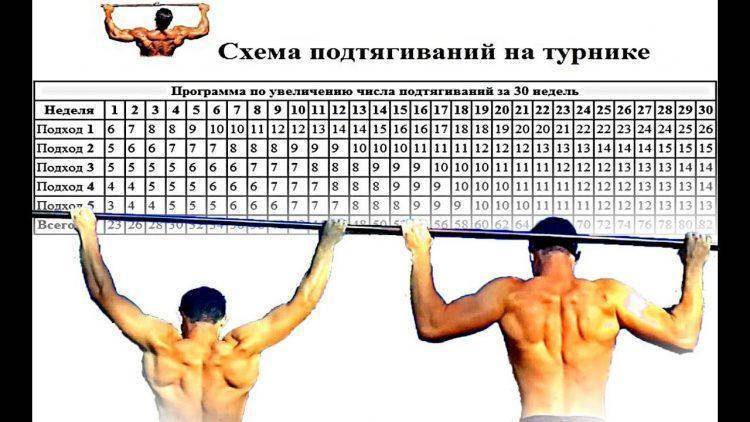 Как научиться много подтягиваться: советы от профессионалов