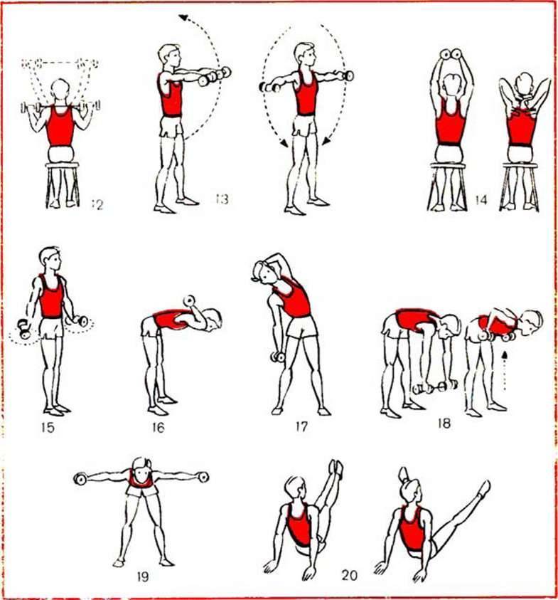 Схема упражнений с гантелями для мужчин и женщин