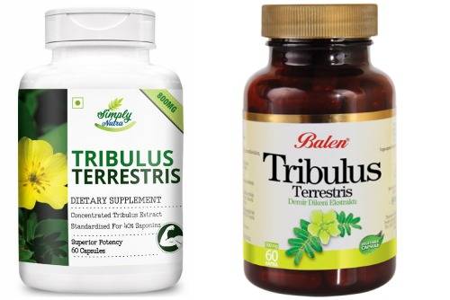 Как принимать трибулус террестрис: дозировка, до еды или после, рейтинг трибулуса 2018-2019