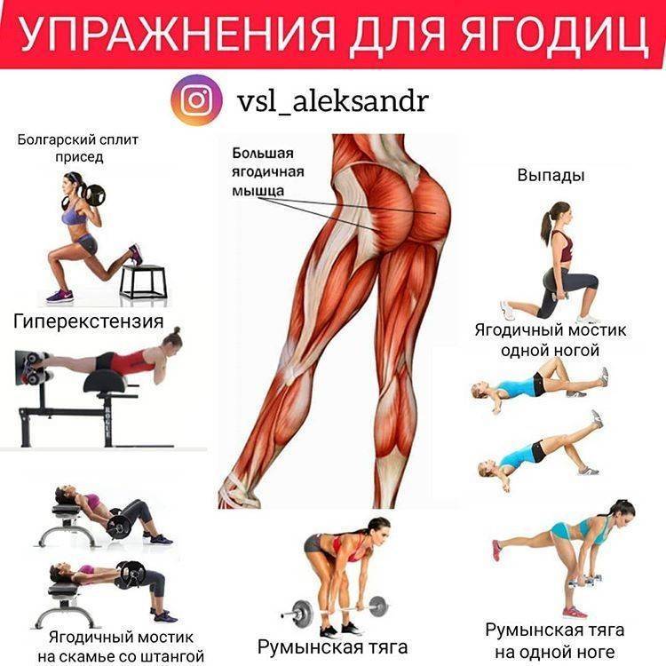 Сушка тела и ног: упражнения и особенности питания для мужчин и девушек | rulebody.ru — правила тела