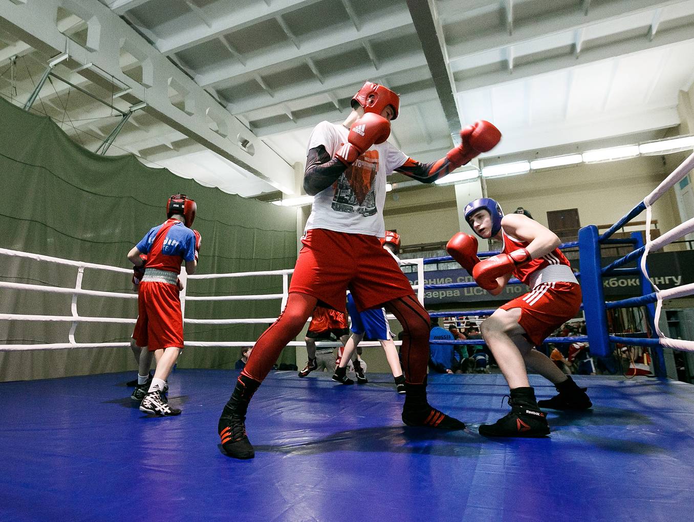 Плюсы и минусы бокса для взрослых, девушек и детей, стоит ли заниматься боксом?