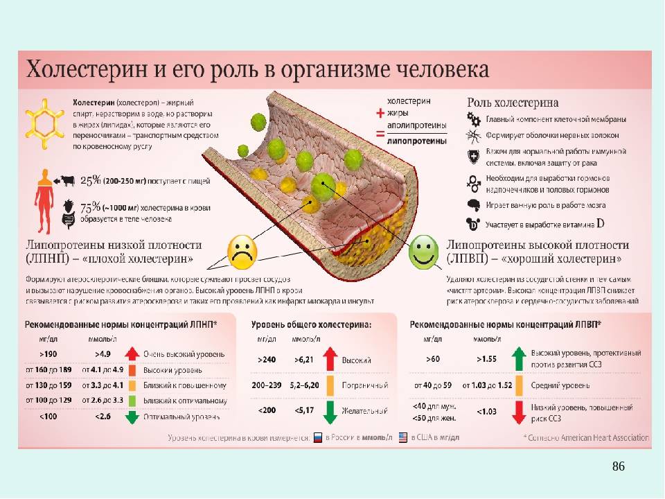 Какая необходима диета при повышенном холестерине в крови