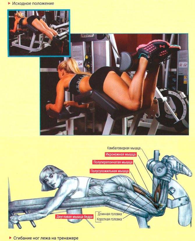 Бицепс бедра | лучшие упражнения для развития мышц бедра