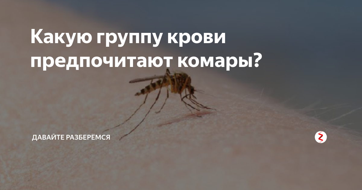 Людей с какой группой крови чаще кусают комары