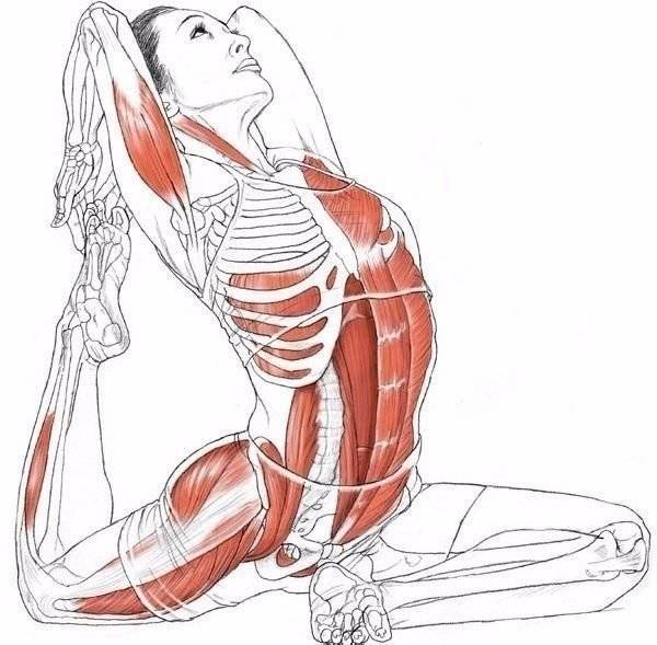 Гимнастика кегеля - упражнения для тренировки мышц тазового дна