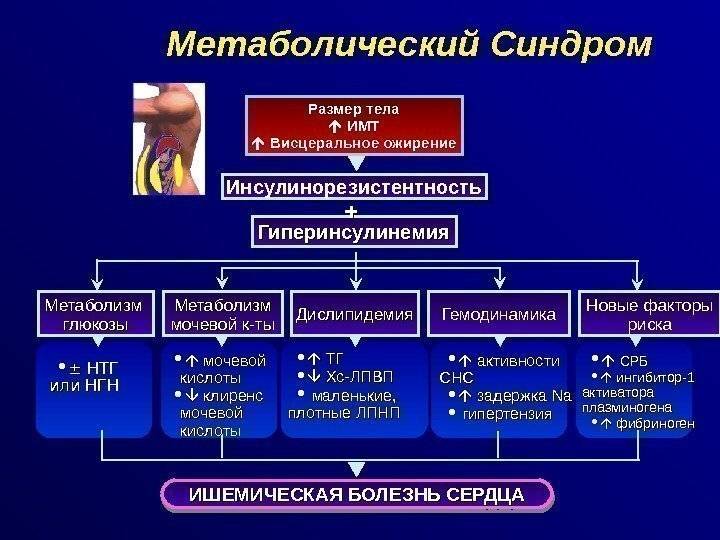 Метаболический синдром