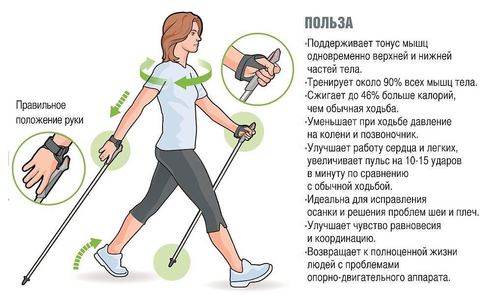 Спортивная ходьба: техника, чем отличается от бега и обычной ходьбы