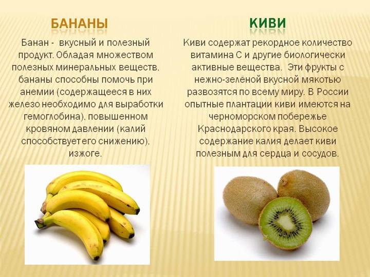 Банан - это фрукт или ягода? малоизвестные факты о бананах :: syl.ru