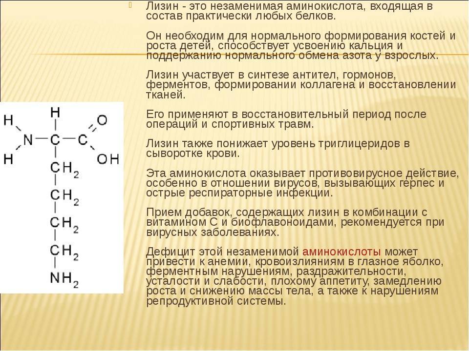Аминокислота лизин: лучшие добавки, польза и вред, применение в бодибилдинге