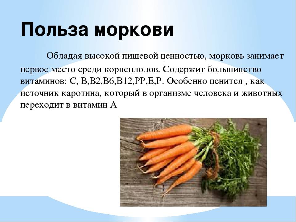 Морковь - польза и вред, состав, калорийность, витамины в овоще