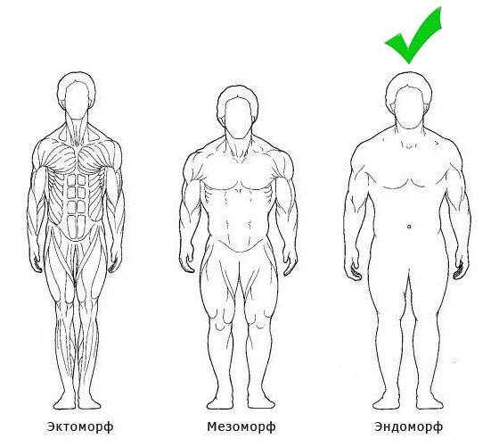 Типы мужского телосложения: советы по развитию