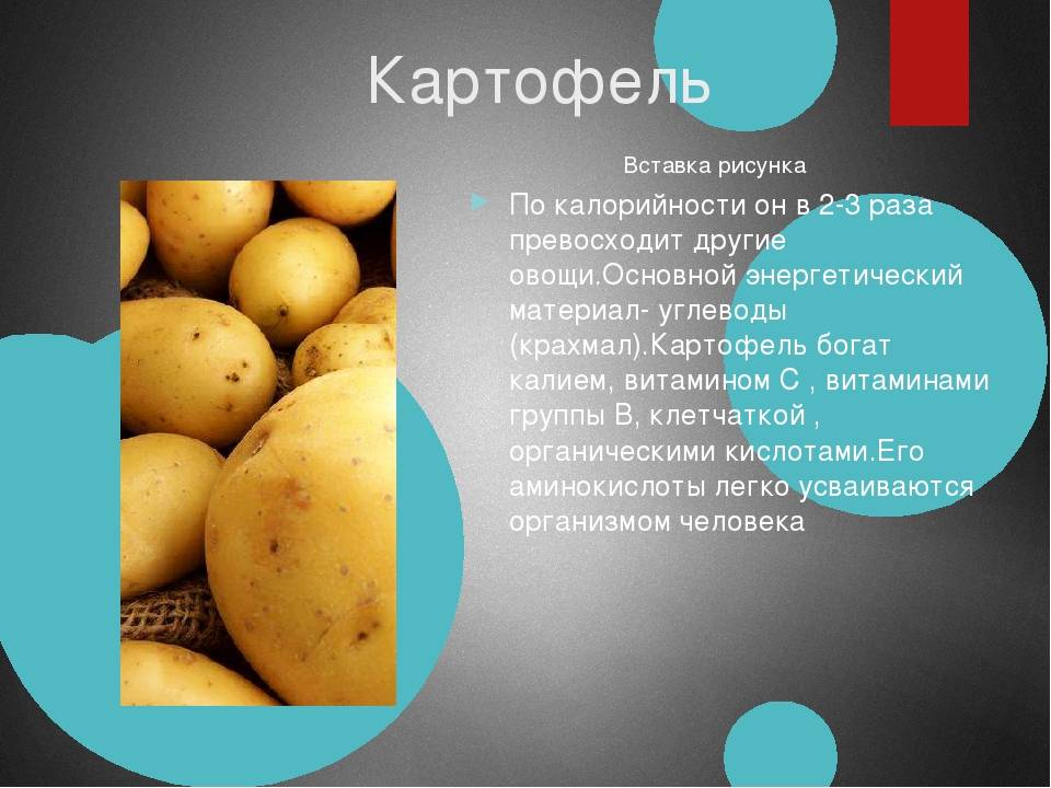 Сколько калорий в картошке: варенной, жареной, фри и картофеле в мундире?