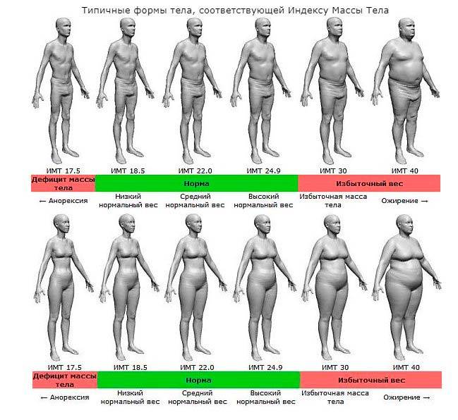Как разное процентное содержание жира выглядит у мужчин?