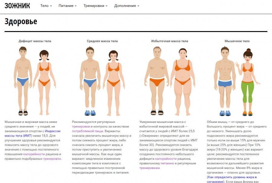 Процент жира в организме норма для женщин и мужчин: как измерить, минимальные показатели