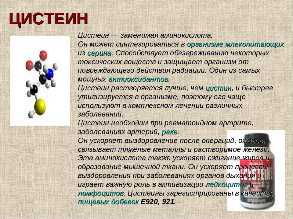 Для чего нужны аминокислоты и как их принимать? :: syl.ru