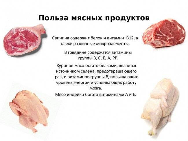 Свинина: польза и вред для организма | food and health